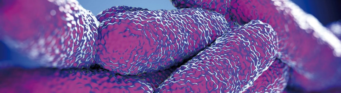 Legionella, nuovi contagi in questo periodo
