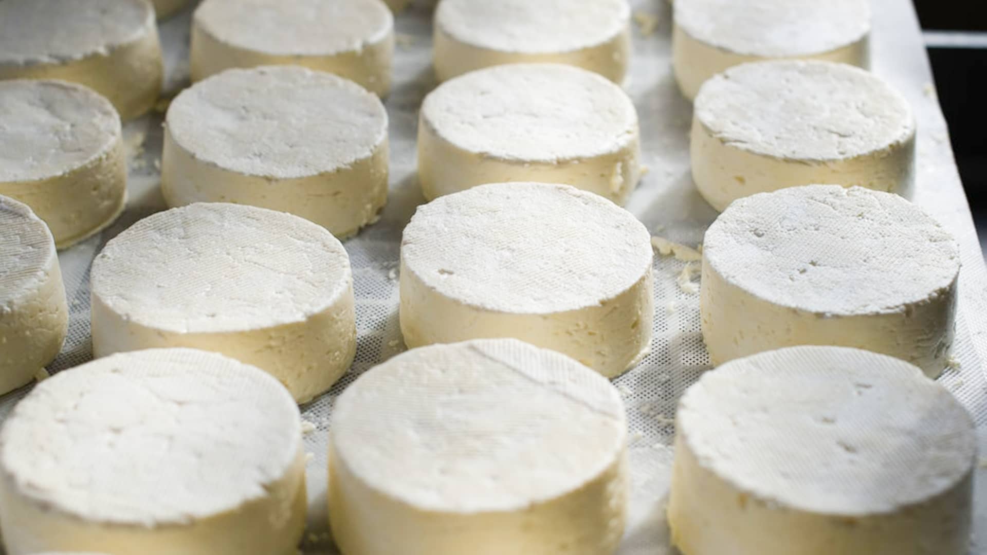 Come lavi le fuscelle per i tuoi formaggi?